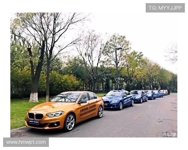 好动微博网球热潮引领全民健身新风尚助力年轻人展现活力与激情 好动微博网球热潮引领全民健身新风尚助力年轻人展现活力与激情